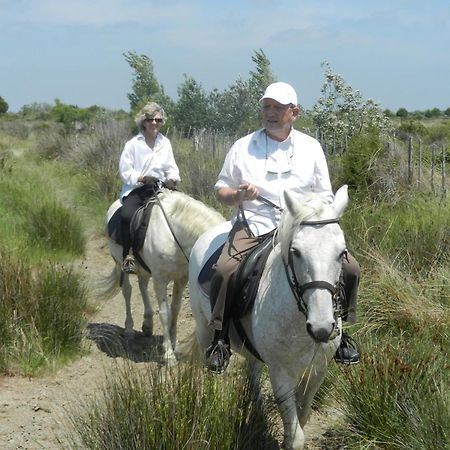 Mas De La Grenouillere Hotel Et Centre Equestre En Pleine Nature Saintes-Maries-de-la-Mer Kültér fotó
