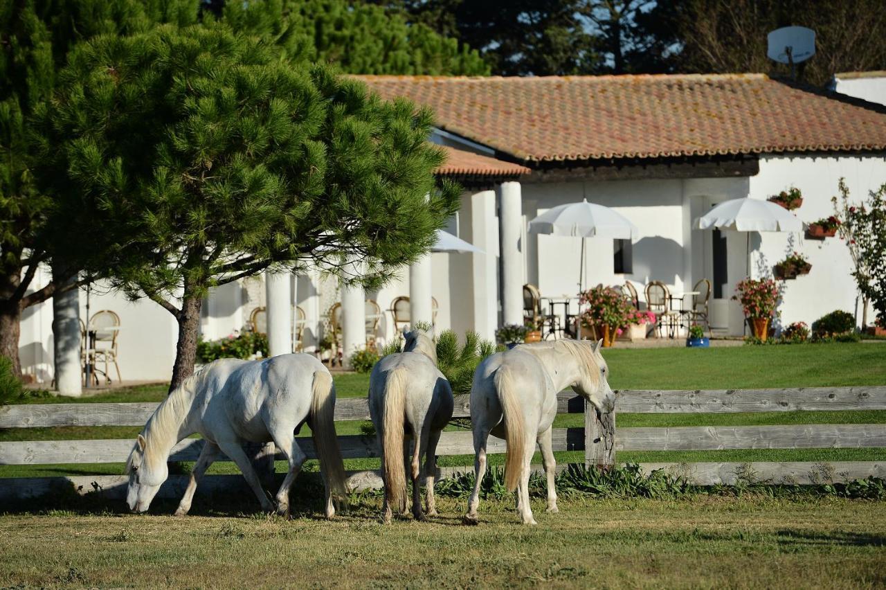 Mas De La Grenouillere Hotel Et Centre Equestre En Pleine Nature Saintes-Maries-de-la-Mer Kültér fotó